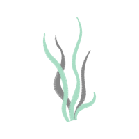 Illustration Other