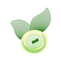 Illustration Other