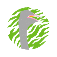 Illustration Other