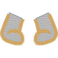 Illustration Other