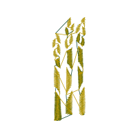 Illustration Other