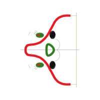Illustration Other