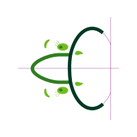 Illustration Other