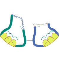 Illustration Other