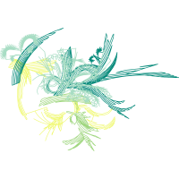 Illustration Other