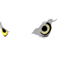 Illustration Other