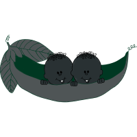 Illustration Other