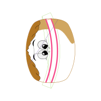 Illustration Other