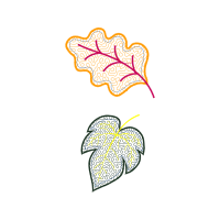 Illustration Other