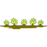 Illustration Other