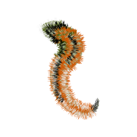 Illustration Other