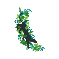 Illustration Other