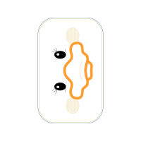Illustration Other
