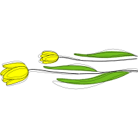 Illustration Other