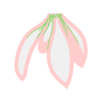 Illustration Other
