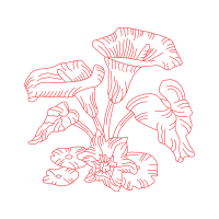 Illustration Other