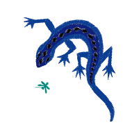 Illustration Other