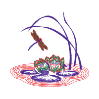 Illustration Other
