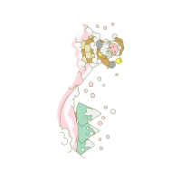 Illustration Other