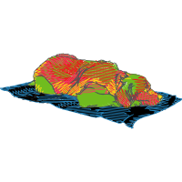 Illustration Other