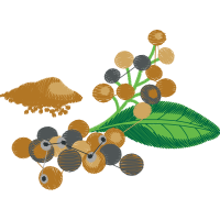 Illustration Other