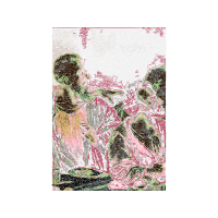 Illustration Other
