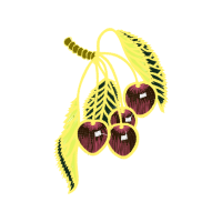 Illustration Other