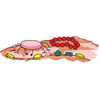 Illustration Other