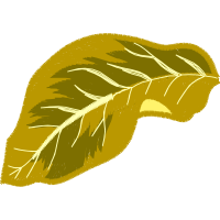 Illustration Other