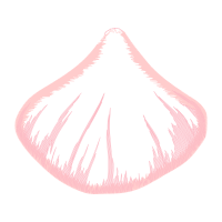 Illustration Other