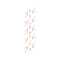 Illustration Other