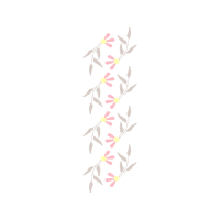 Illustration Other