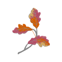 Illustration Other