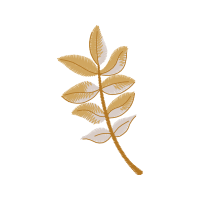Illustration Other