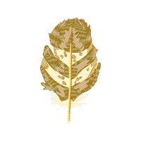 Illustration Other