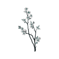Illustration Other