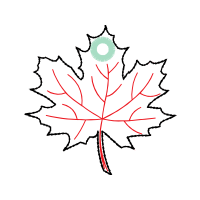 Illustration Other