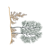 Illustration Other