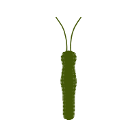 Illustration Other