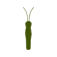 Illustration Other
