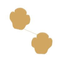 Illustration Other