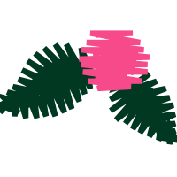 Illustration Other