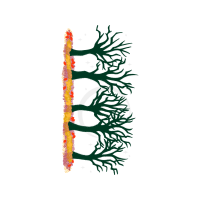 Illustration Other