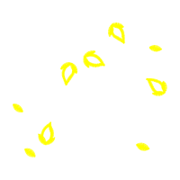 Illustration Other