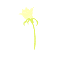 Illustration Other