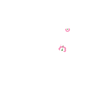 Illustration Other