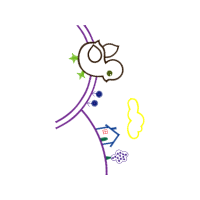 Illustration Other