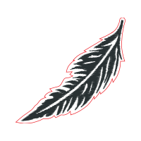 Illustration Other