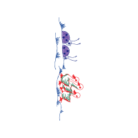 Illustration Other