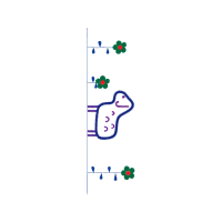 Illustration Other
